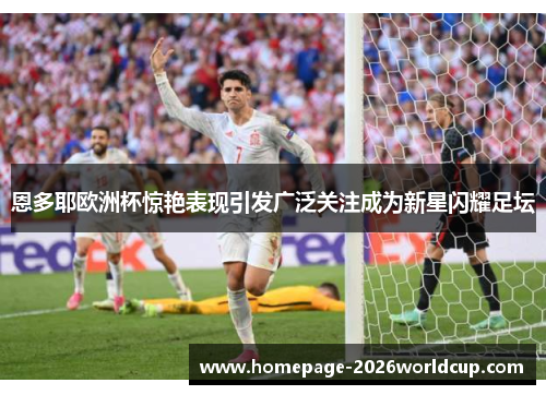 恩多耶欧洲杯惊艳表现引发广泛关注成为新星闪耀足坛